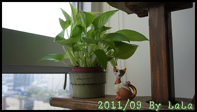 DSC03040.jpg
