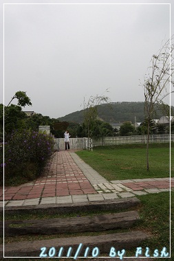 IMG_5561.jpg