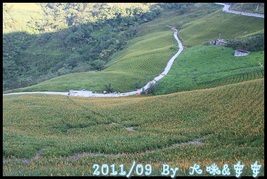 DPP_0214.jpg