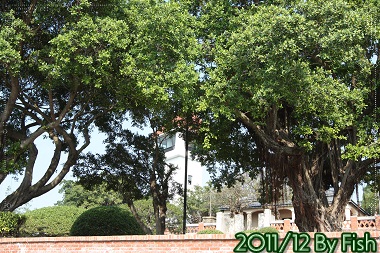 IMG_8078.jpg