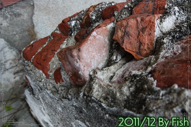 IMG_8099.jpg