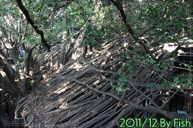 IMG_8129.jpg