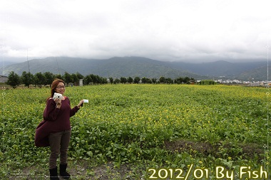 IMG_9113 IMG_9113
