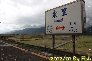 IMG_9131 IMG_9131