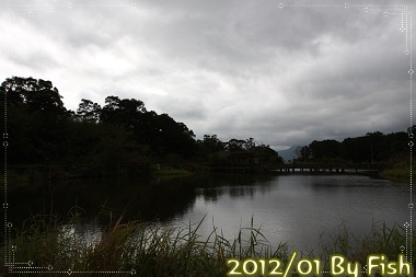 IMG_9208 IMG_9208