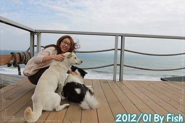 IMG_9525 IMG_9525