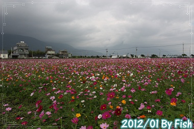 IMG_9585 IMG_9585