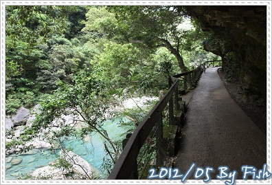 IMG_8720 IMG_8720