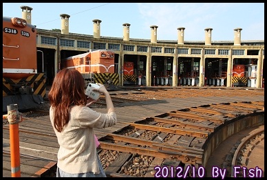 IMG_8782 IMG_8782