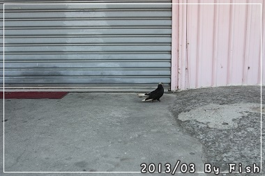 IMG_0528