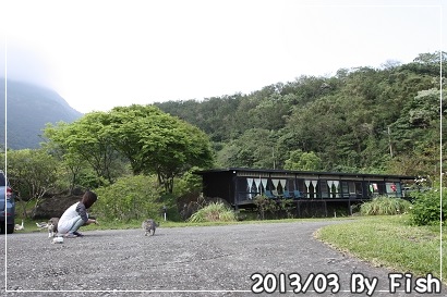 IMG_1482 IMG_1482