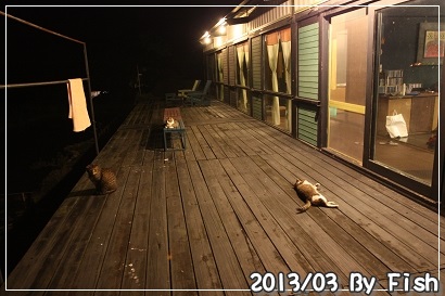 IMG_1621 IMG_1621