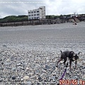 IMG_7663.jpg