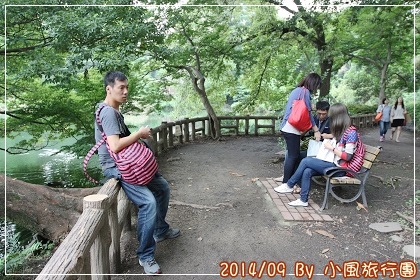 IMG_6082.jpg