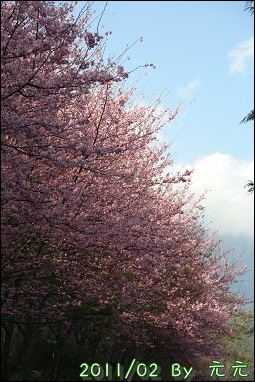 IMG_8150.jpg