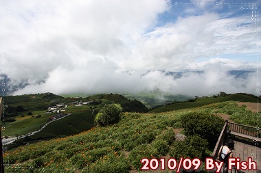 IMG_6111.jpg