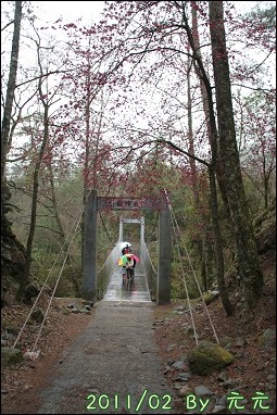 IMG_8250.jpg