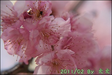 IMG_7940.jpg