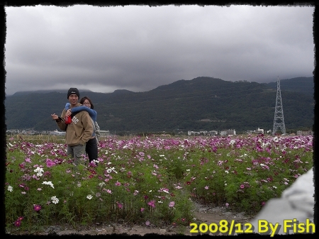 R0016631.JPG
