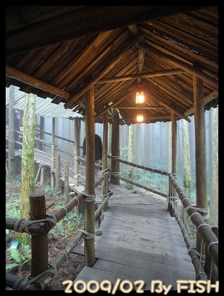 R0017531.jpg