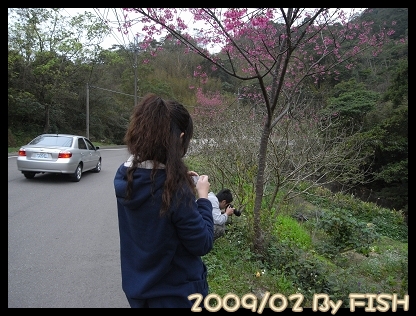 R0017583.jpg