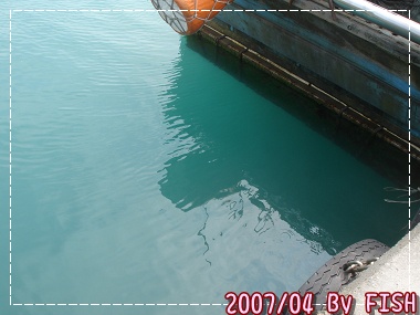 DSC01653.jpg
