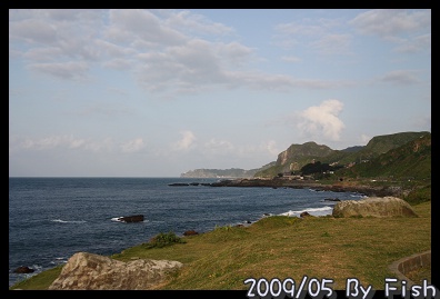 IMG_3516.jpg