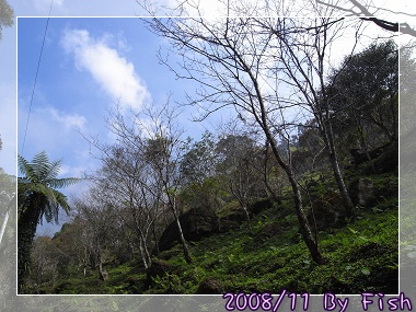 R0015086.jpg