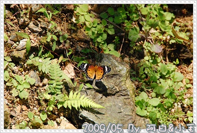 DSC_1268.jpg