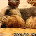 IMG_5836.jpg