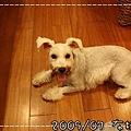 IMG_5842.jpg