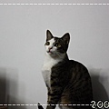 IMG_3077.jpg