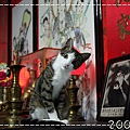 IMG_3087.jpg