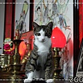 IMG_3090.jpg