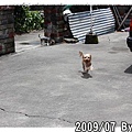 IMG_6227.jpg