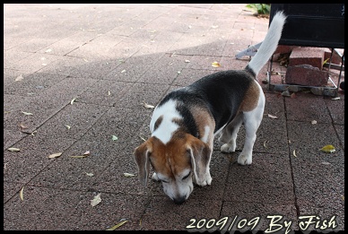 IMG_8823.jpg