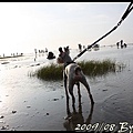 IMG_8050.jpg
