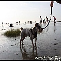 IMG_8051.jpg