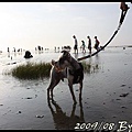 IMG_8052.jpg
