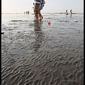IMG_8071.jpg