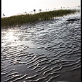 IMG_8072.jpg