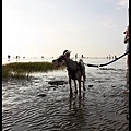 IMG_8074.jpg