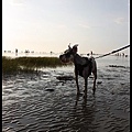IMG_8075.jpg