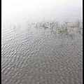IMG_8090.jpg