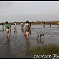 IMG_8093.jpg