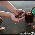 IMG_8128.jpg