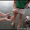 IMG_8130.jpg