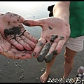 IMG_8131.jpg