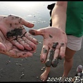 IMG_8132.jpg