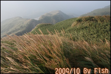 IMG_9503.jpg